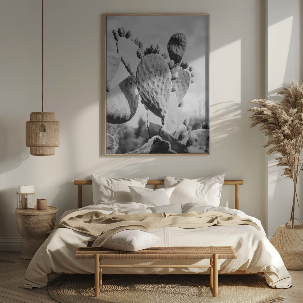 Cacti Cowboy No1 Poster